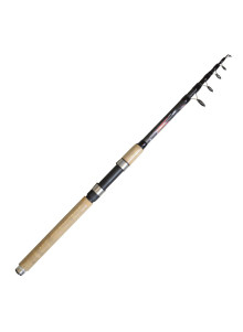 Телескопическая штанга FL Catana 3m 60-120g
            