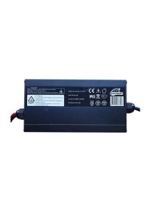Energy Research Lithium 12V 10AMP charger
            