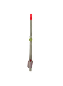 Divslāņu lavsanni sargel 11cm 5-30g
            