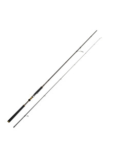 Cinnetic Raycast XBR Jūras asaris 2.40m 5-27g
            