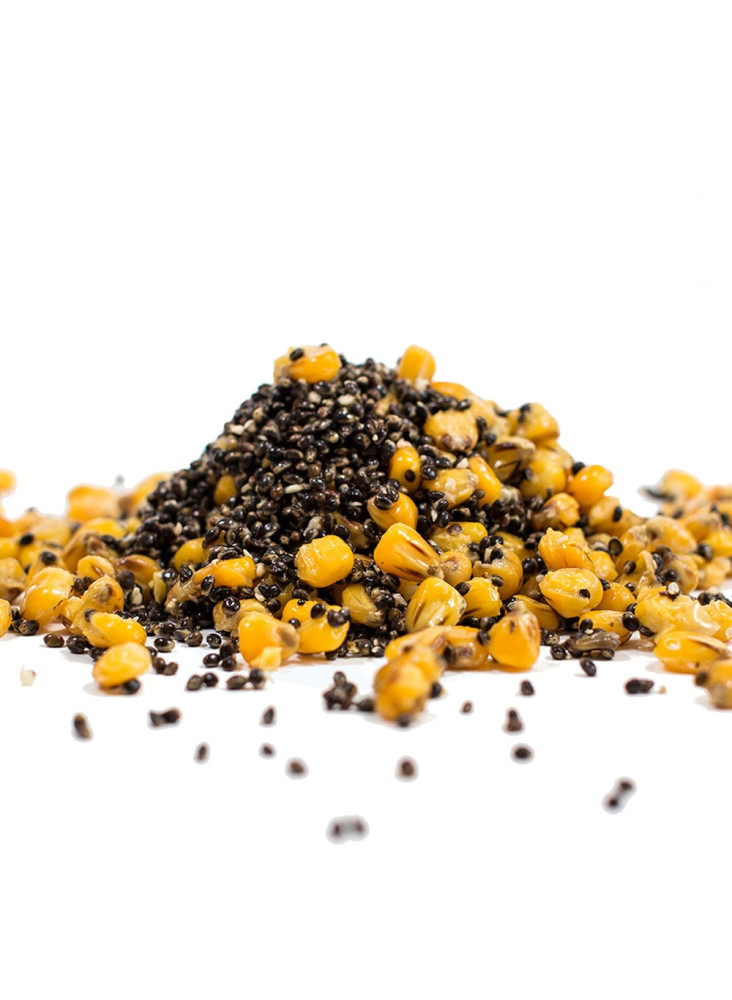 Вакуумная 2-х зерновая смесь Carp Seeds Miks B 1кг
