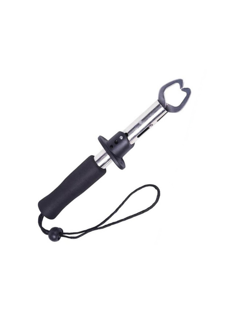 Fish extraction tool
