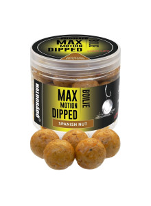 Haldorado Max Motion Boilie Dipped 20mm - Spanish Nut
            
