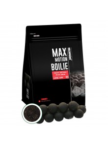 Haldorado Max Motion Boilie Long Life 24mm 800g - Black Squid
            