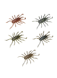 Jackall RV-Bug 1.5" Soft Lure 8pcs - UL SUL Perch Pike Micro Vibration