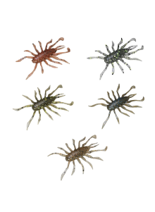 Jackall Spinningukelmuse RV-Bug 1.5" (8 tk)