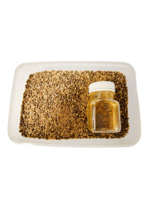 Pellets Deepex Mix Bag ShellFish +80ml activator