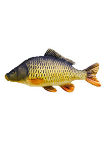 Подушка EnergoFish Гигантский карп
            
