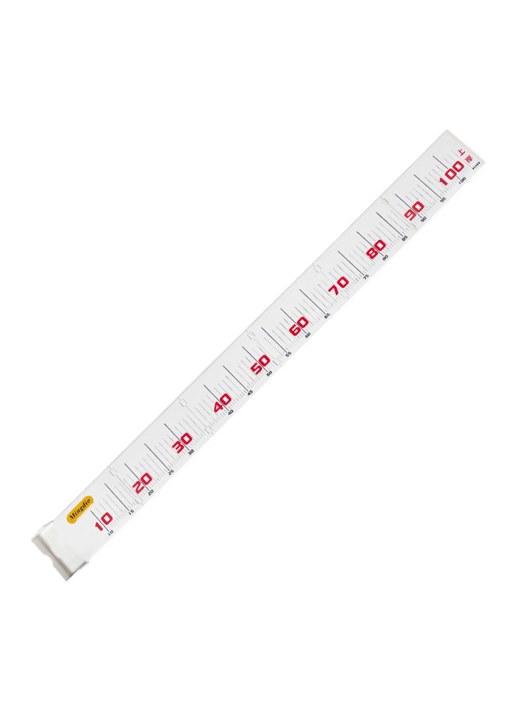 Zivju mērīšanas lineāls