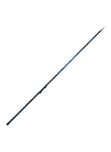 Telescopic rod Pro FL General Bolo 4m 50-100g
            