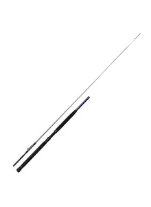 DAM Imax Jūras kāts Inliner Boat 2.10m MF 100-300g 20LB
            