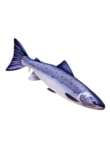 EnergoFish Pillow Salmon 90cm
            