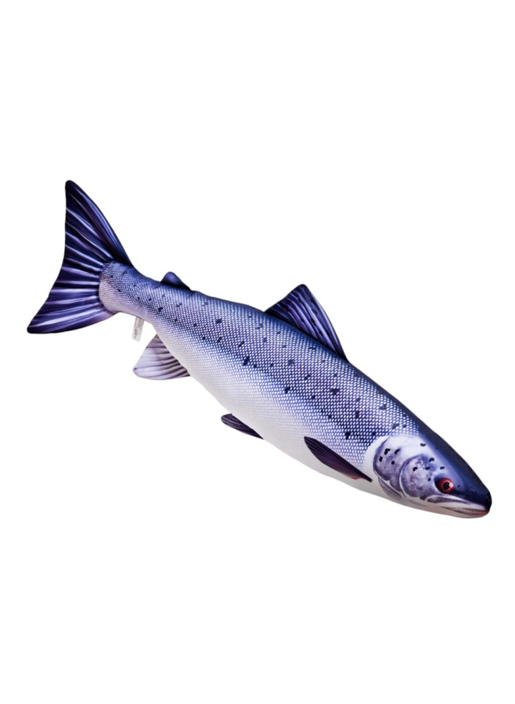 EnergoFish spilvens Laši 90cm