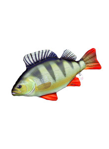 Подушка EnergoFish Окунь 49 см
            