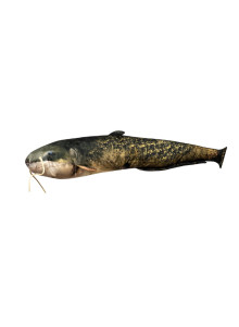 EnergoFish Pillow Catfish 110cm
            