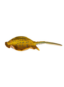 EnergoFish spilvens Stingray 50cm