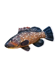 EnergoFish Подушка Групер 100 см
            