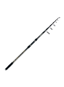 Телескопическое удилище Pro FL Tele Carp 3.90m 160-360g
            