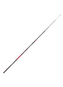 Sporta makšķere FL Regular 5m 10-30g
            