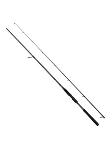 Spinning rod Savage Gear Defiance SG4 Inshore 2.74m 9-45g
            
