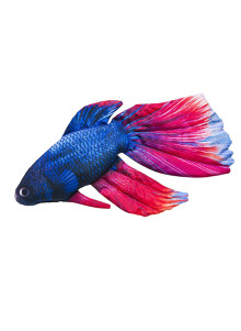 EnergoFish spilvens Zelta zivs 53cm