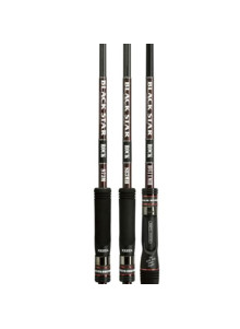 Спиннинговое удилище XESTA Black Star Black Star Rock S83MH 2,53м 10-35гр
            