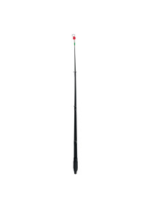 Sēlijas sargelis 23,5cm 3-4g
            