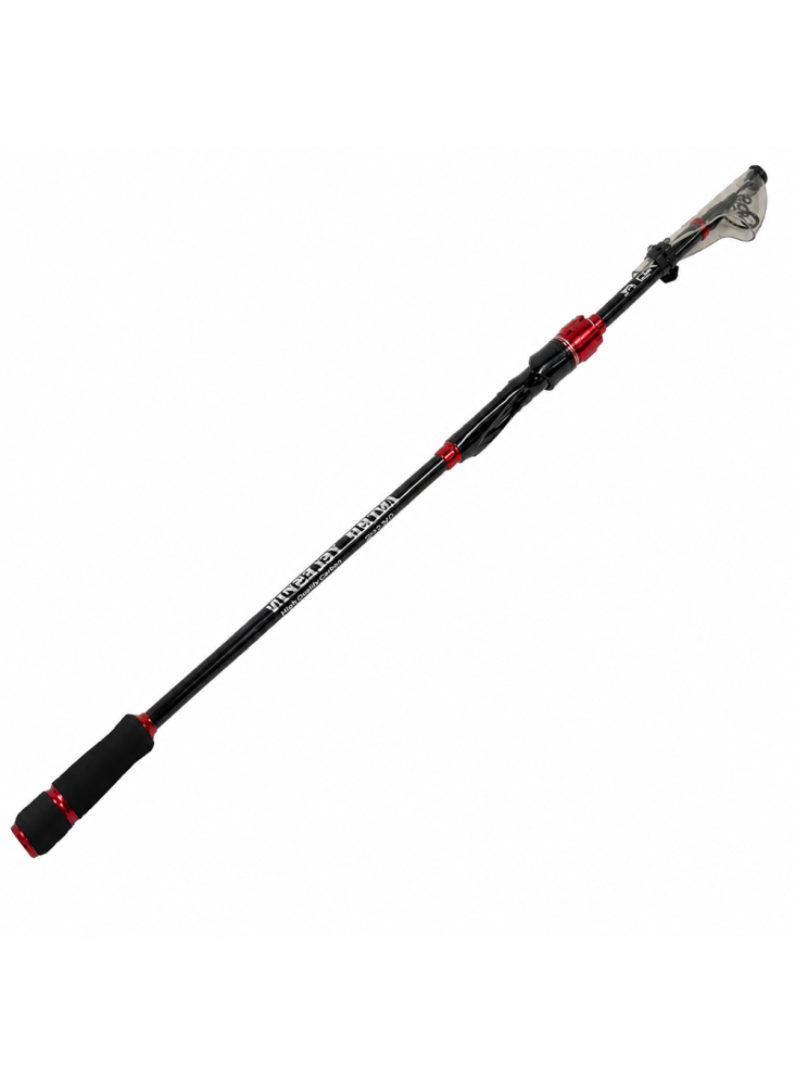 Teleskopinė meškerė Pro FL Intro Telespin 2.5/3m 10-40g