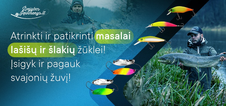 lašiša