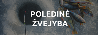 Poledinė žvejyba