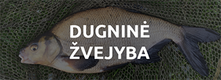 Dugninė žvejyba 